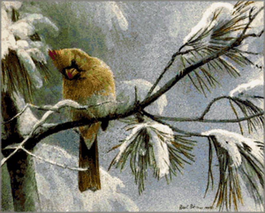 Серия "Птицы" - птицы, пейзаж, зима - предпросмотр