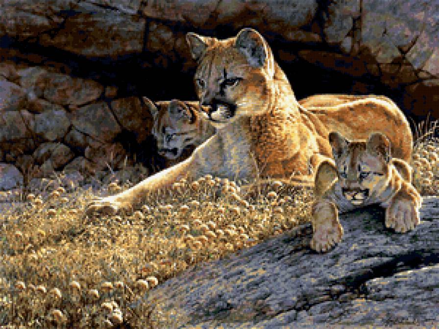 №171051 - животный мир - предпросмотр