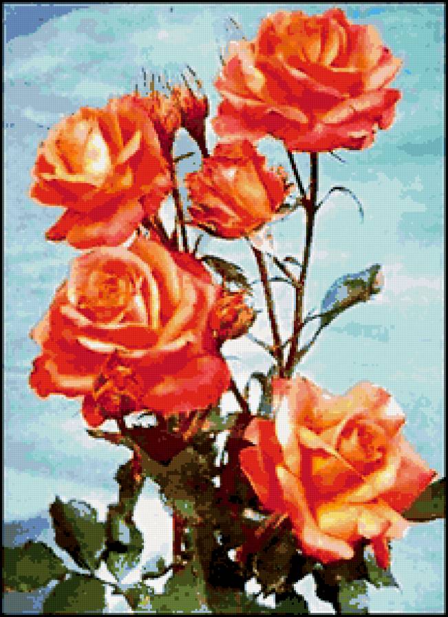 розы на голубом - цветы - предпросмотр