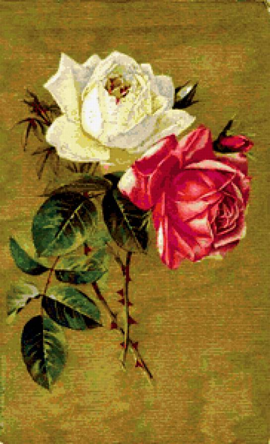 две розы 4 - цветы - предпросмотр