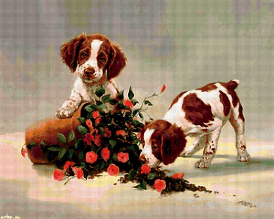 №171104 - животный мир - предпросмотр