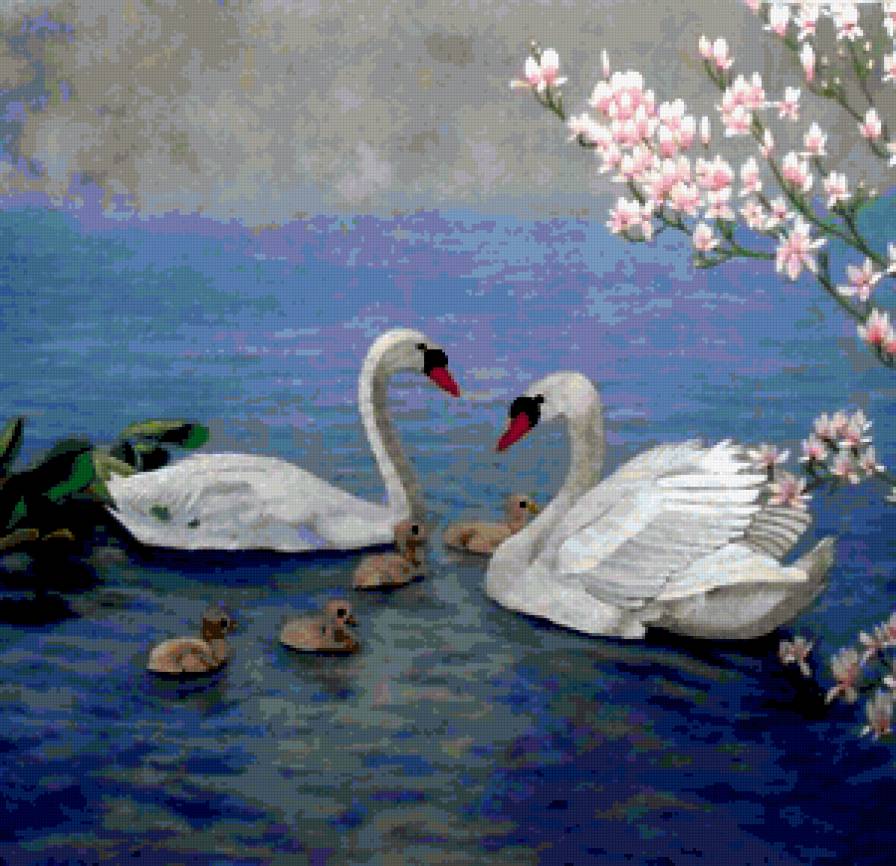 Лебединая семья - лебеди, картина, озеро, любовь, природа - предпросмотр
