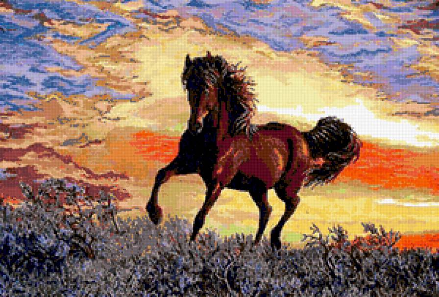 Лошадь - лошади - предпросмотр