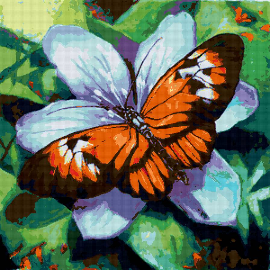 на цветке - подушка, бабочка - предпросмотр