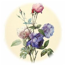 Оригинал схемы вышивки «розы» (№171233)