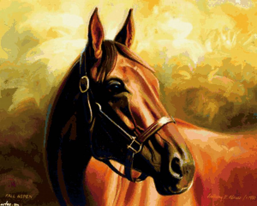 №171249 - животный мир - предпросмотр