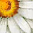 Предпросмотр схемы вышивки «ромашки» (№171273)