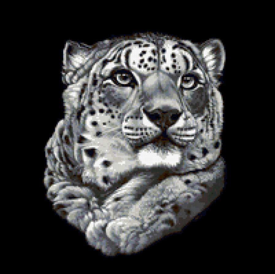 Котэ - леопард, кошки, животные, звери - предпросмотр