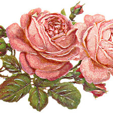 Оригинал схемы вышивки «Розы» (№171464)