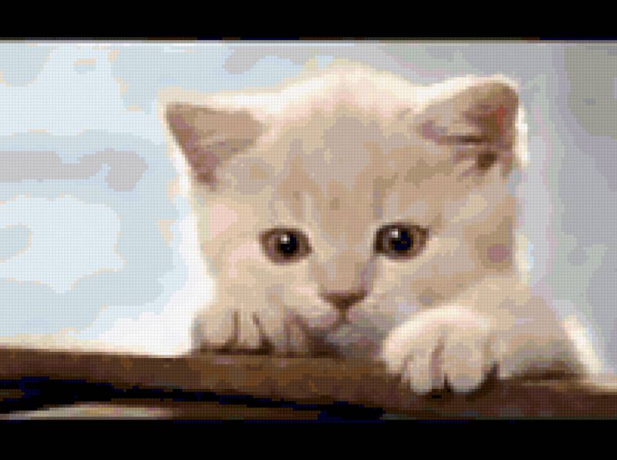 котёнок - предпросмотр