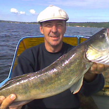 Схема вышивки «витек2»