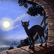 Черный кот под луной.