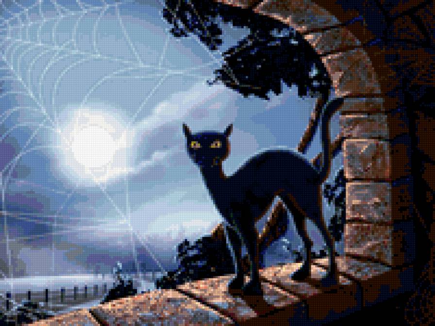 Черный кот под луной. - космос, кошка, цветы, животные, планеты, кот, картинка, луна - предпросмотр