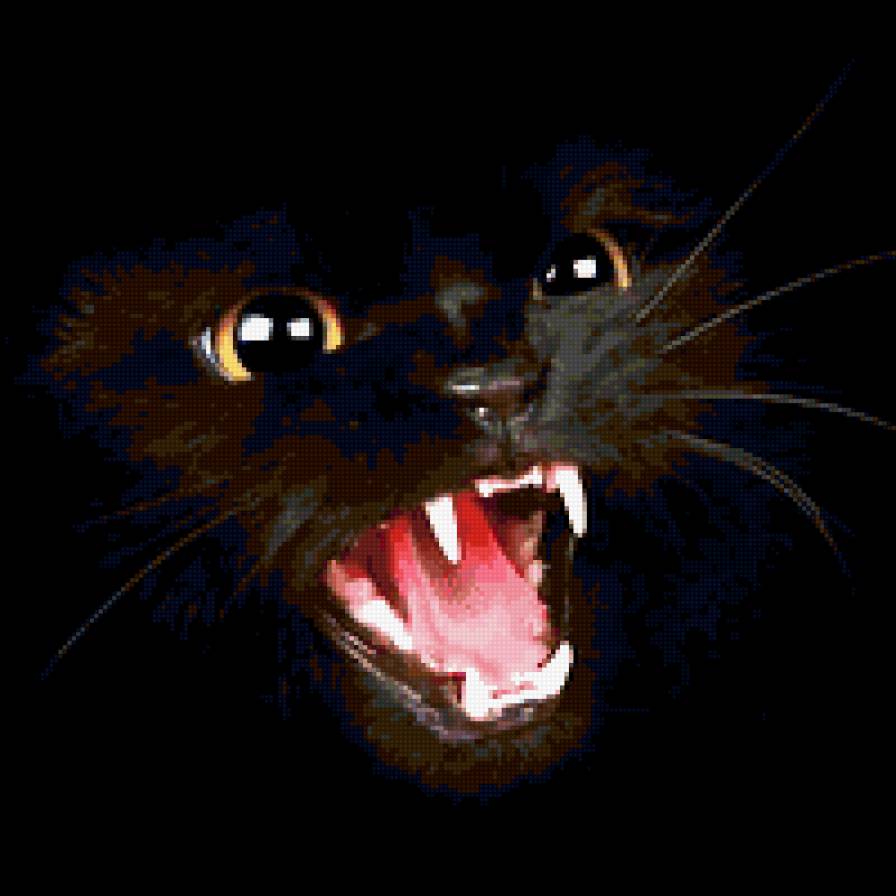 Кошка Шипелка На подушку - черный, картинка, животные, кот, юмор, подушка, кошка - предпросмотр