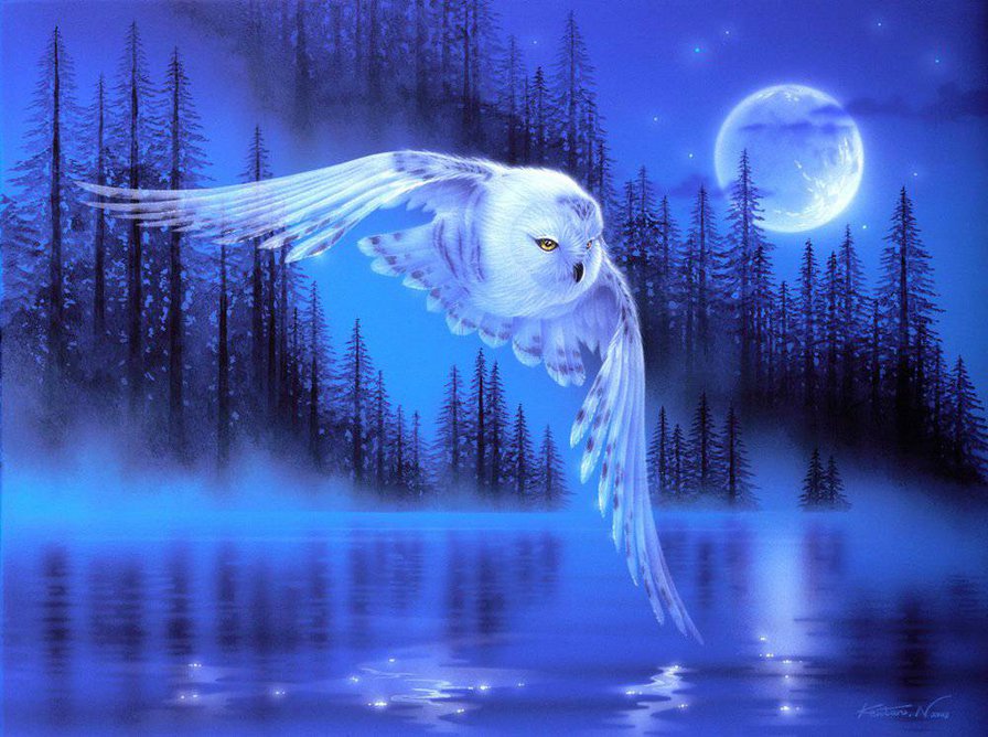Сова - ночь, луна, полярная сова, лес - оригинал