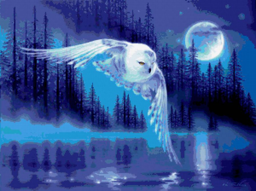 Сова - ночь, луна, полярная сова, лес - предпросмотр