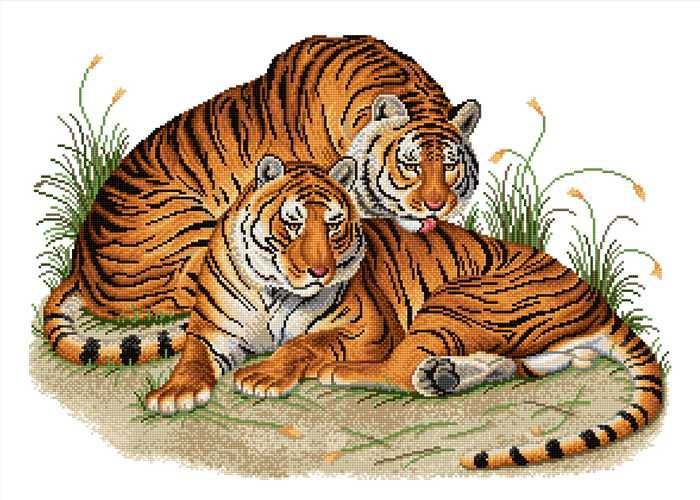 Tigre - тигр, животные, тигры, дикие звери - оригинал