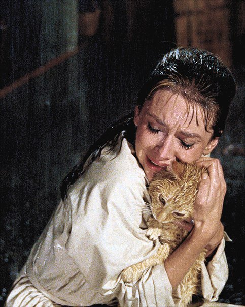 Одри Хепберн с безымянным котом - кот, одри - оригинал