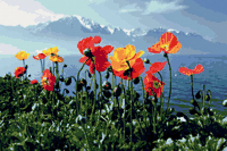 маки и море - красиво, зелень, цветы, море, лето, маки, вода, горы, природа - предпросмотр