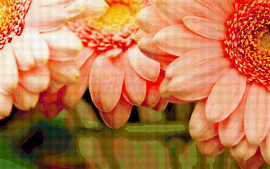 90097 - розы, букет, роза, цветок, цветы, flower - предпросмотр