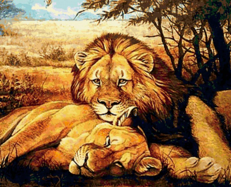 Львы - животные, львы, саванна, хищники - предпросмотр