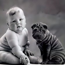 Схема вышивки «№173212»