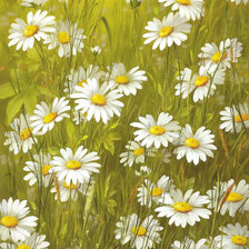 Схема вышивки «Ромашки»