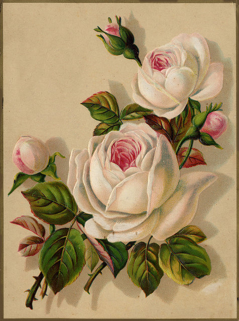Розы - декор, живопись, цветы - оригинал