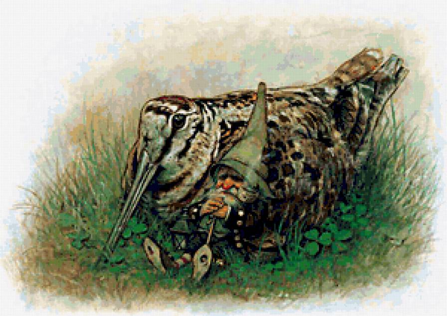 №173328 - предпросмотр