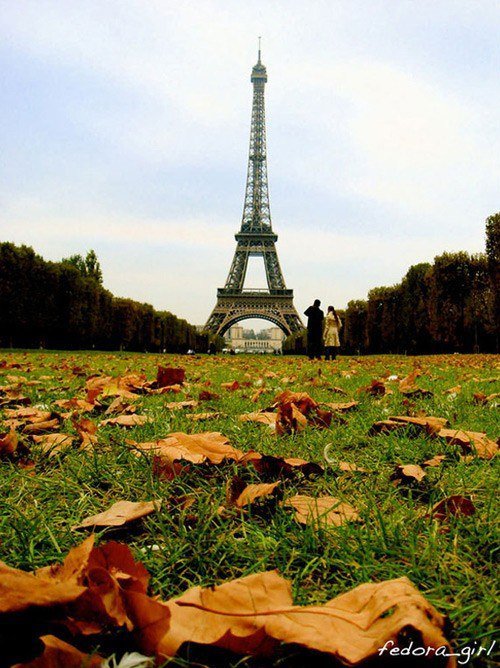 Париж - городской пейзаж, эйфелева башня, красота, париж, улица - оригинал