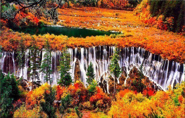 Осень - пейзаж, осень, лес, водопад, красота - оригинал