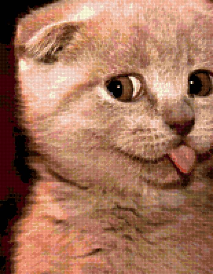 кошки - предпросмотр