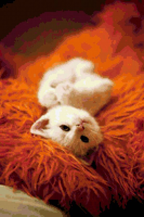 Котенок - предпросмотр