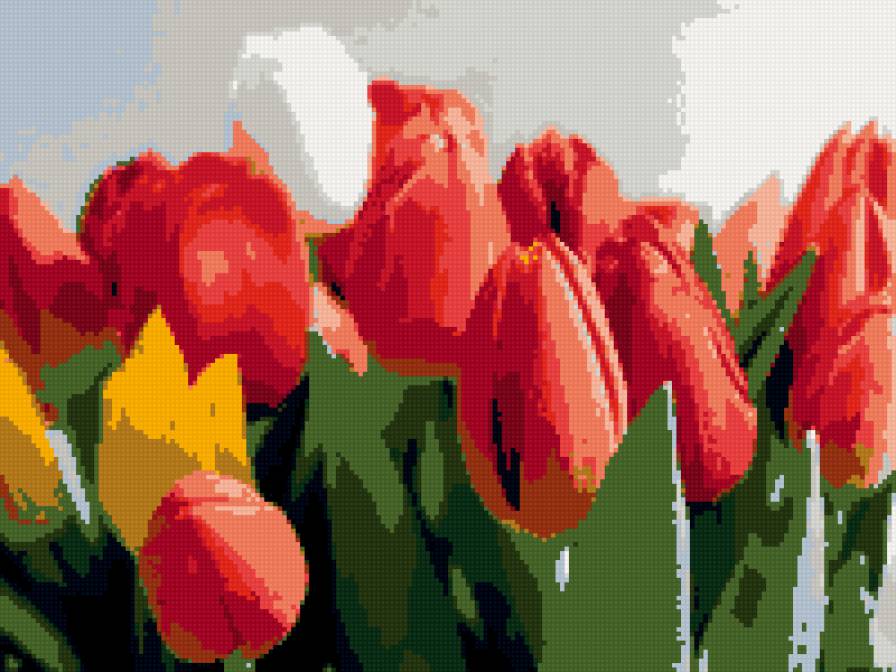 цветы - предпросмотр