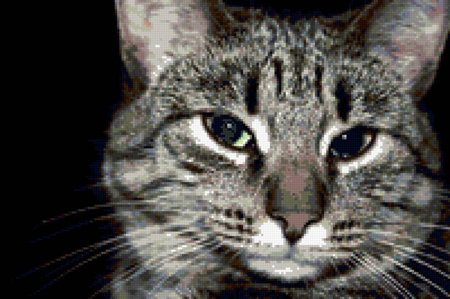 мурка - предпросмотр