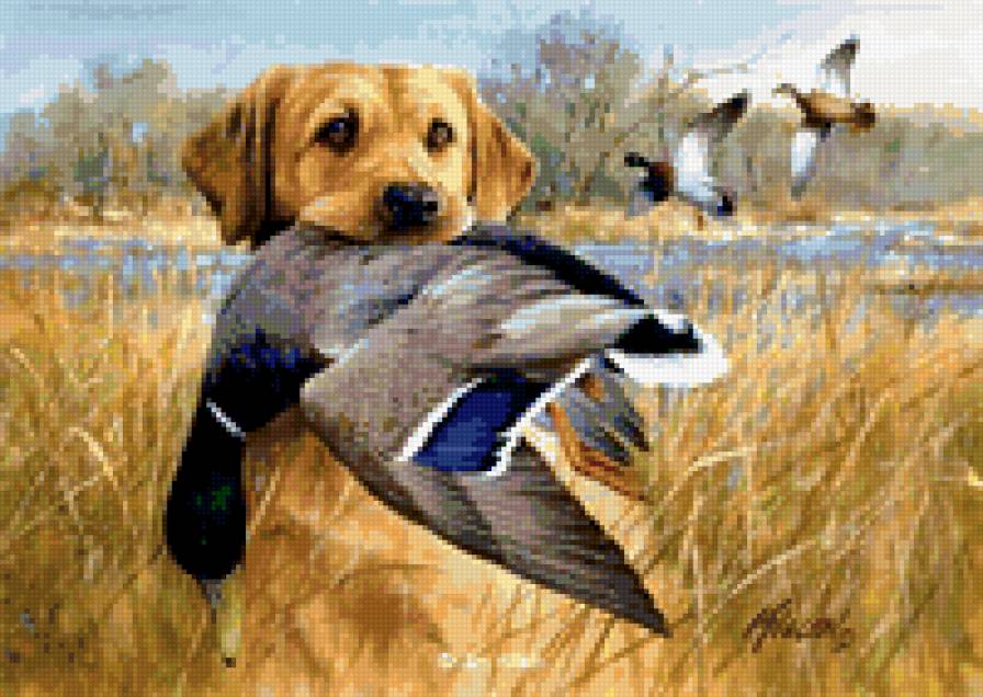 охотник - охота.собаки - предпросмотр