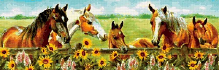 лошади - предпросмотр