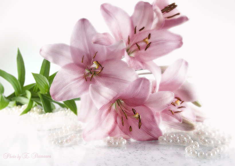 №174193 - оригинал