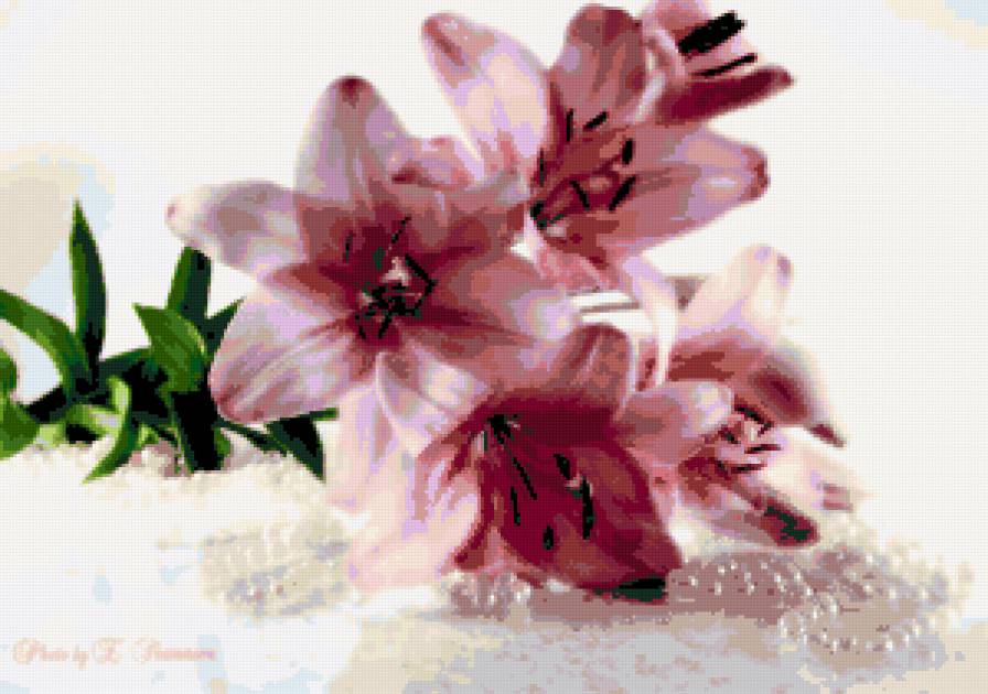 №174193 - предпросмотр