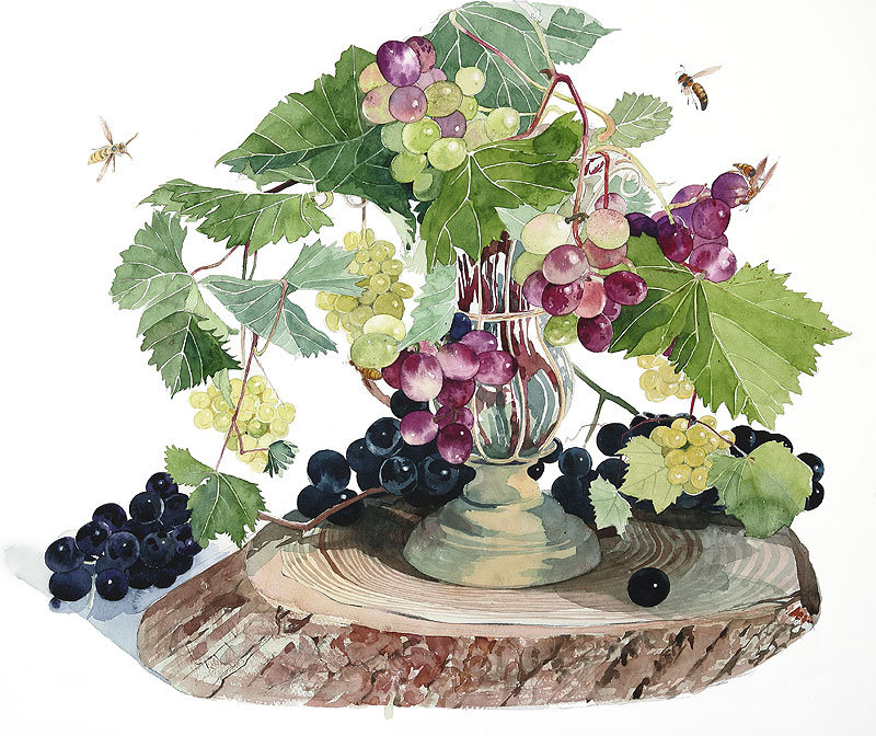 виноград - натюрморт, виноград, для кухни - оригинал