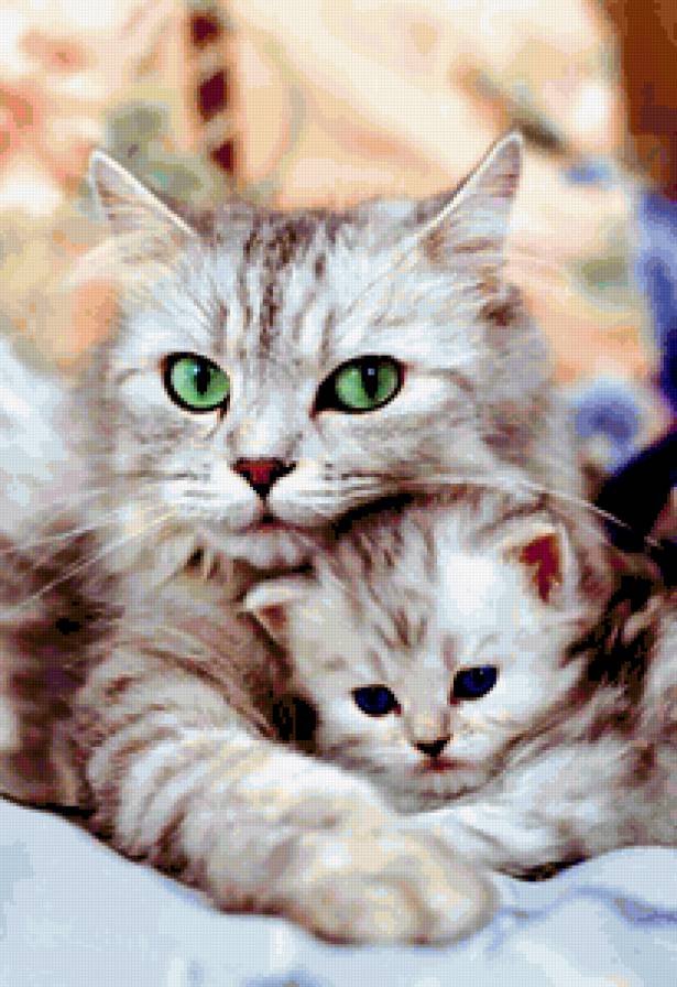 656850 - коты, котенок, кошки, кошка, котята, кот - предпросмотр