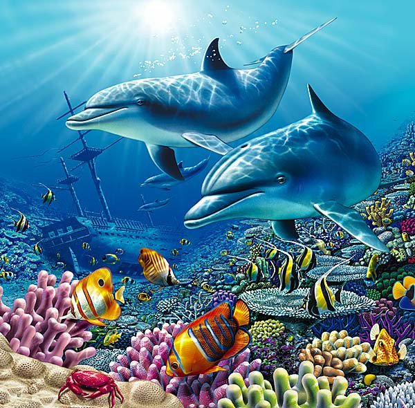 №174424 - дельфины, рыбки, море, корабль - оригинал