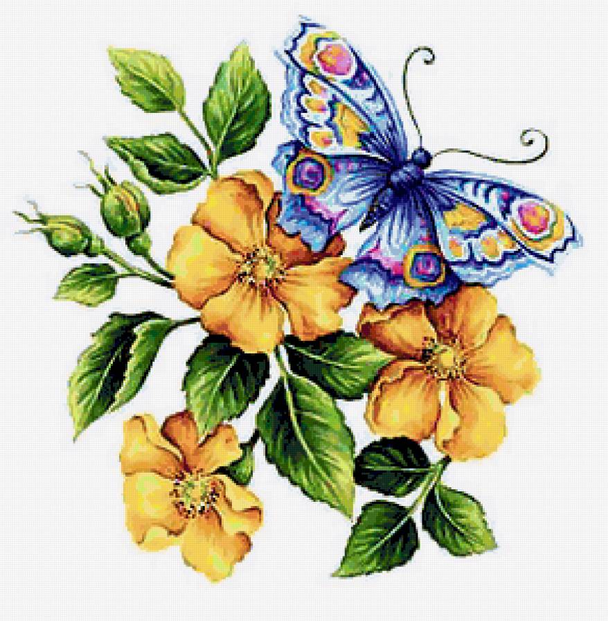 Variant 1 - предпросмотр