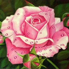 Схема вышивки «№174979»