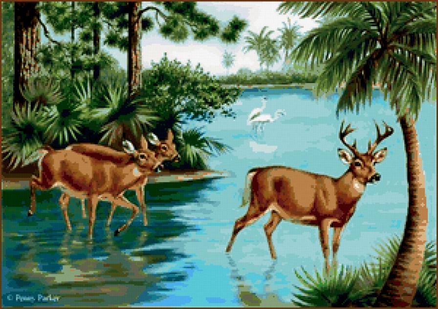 олени у реки - олени, животные - предпросмотр