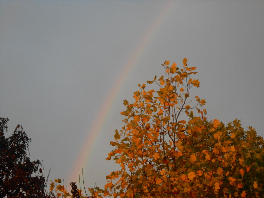 Осень - оригинал