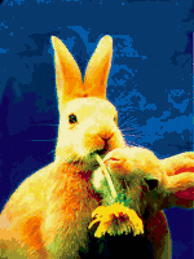 любовь - кролик - предпросмотр