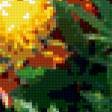 Предпросмотр схемы вышивки «бархатцы» (№175280)