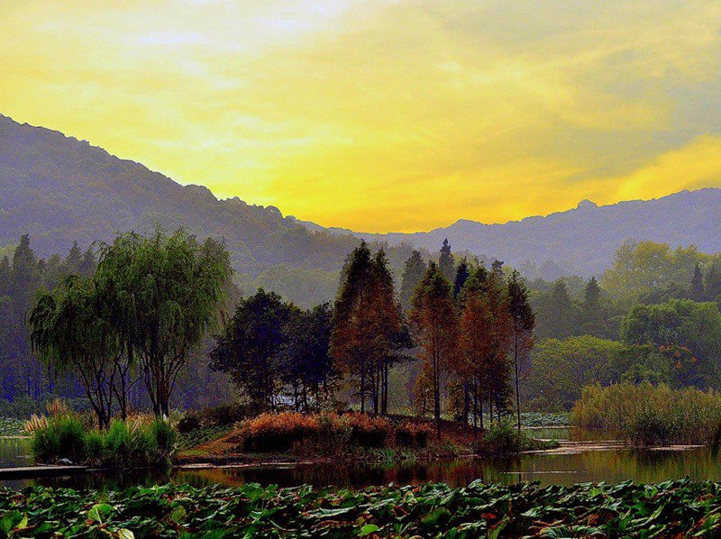 красота - оригинал