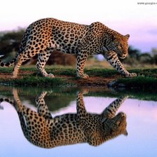 Схема вышивки «леопард у воды»